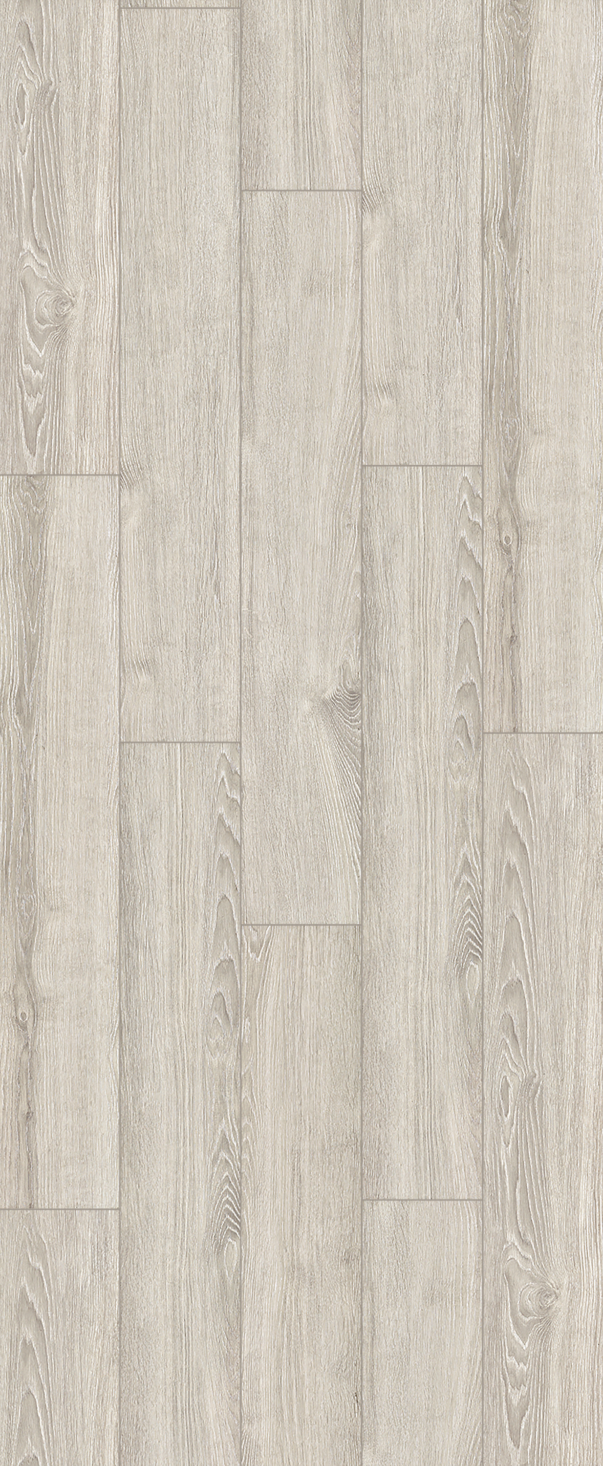 マンモスP Mammoth